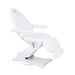 BENTON ELECTRIC Multi-Purpose Chair by Dermalogic - Sharp Salons